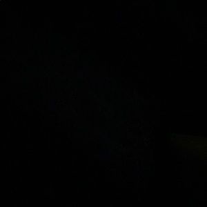 Meet your Posher, Ashley marie